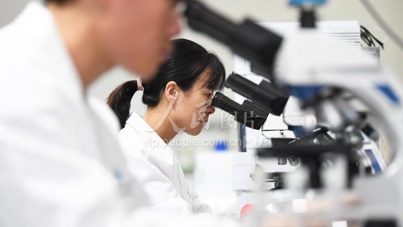 CDMO定制研发：助力企业加速新药研发进程