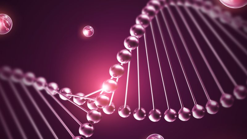 定制化抗体在生物医药研发中的关键作用**