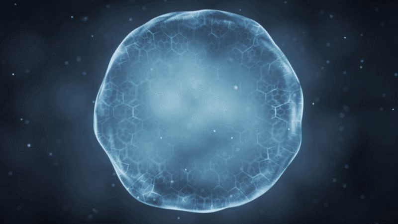 CDMO龙头企业定制流程：揭秘生物制药的“幕后英雄