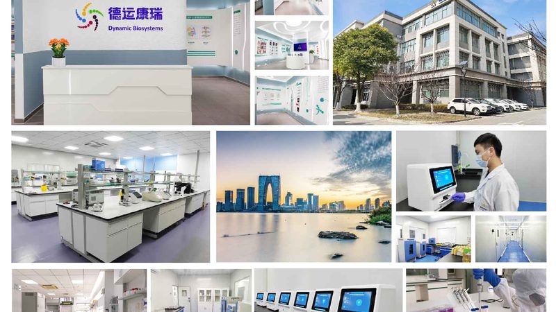 细胞培养实验方案：构建高效科研的基石**