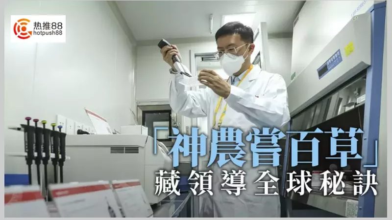 无血清培养基：揭秘其价格背后的秘密**
