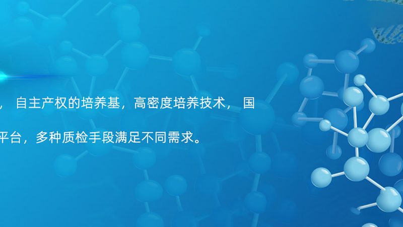 生物医药洁净室净化等级，揭秘其背后的奥秘