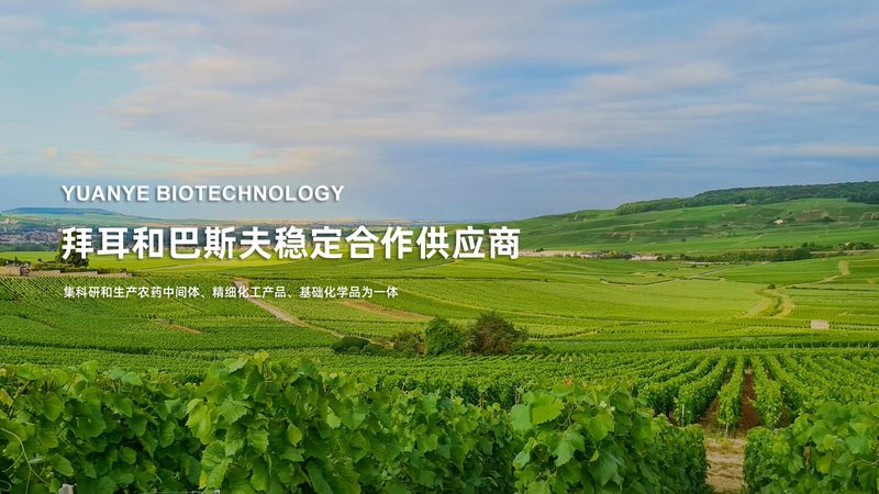 生物医药园区废水处理设备：关键技术与选型要点**