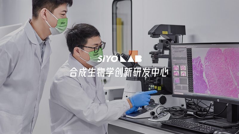 CRO临床试验流程：揭秘医药研发背后的秘密**