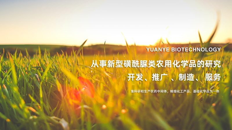 基因检测报告解读：揭秘价格背后的价值