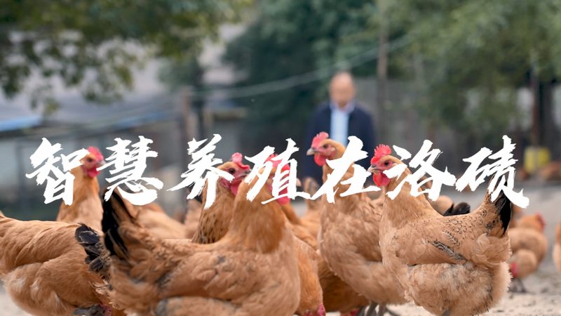 引物合成定制，价格背后的考量因素