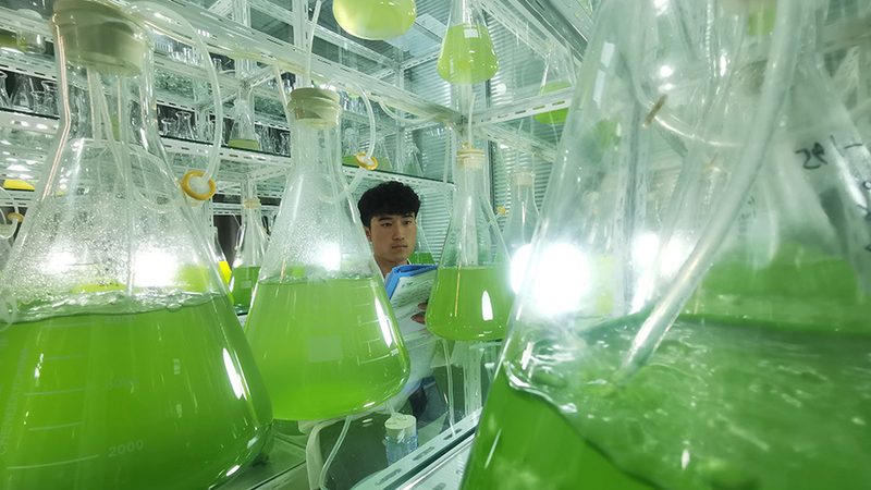 基因检测与体检：揭秘两者之间的差异